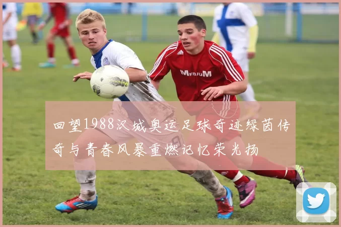 回望1988汉城奥运足球奇迹绿茵传奇与青春风暴重燃记忆荣光扬