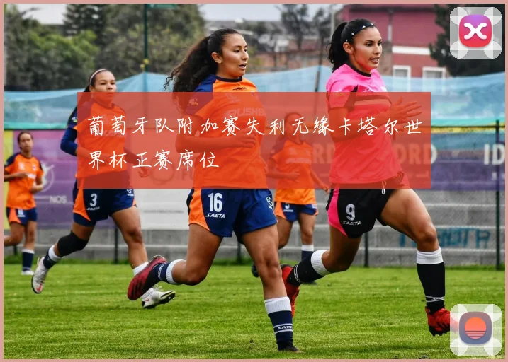 葡萄牙队附加赛失利无缘卡塔尔世界杯正赛席位