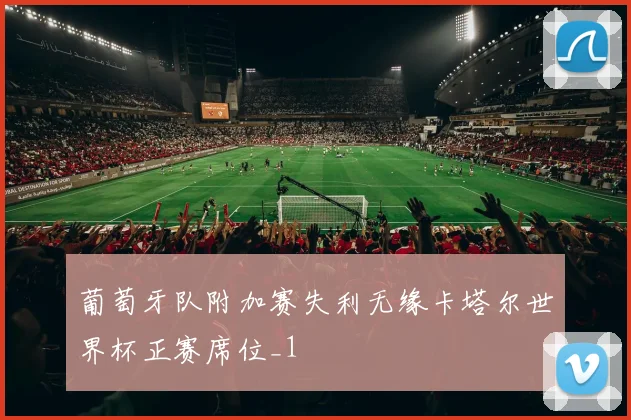 葡萄牙队附加赛失利无缘卡塔尔世界杯正赛席位_1