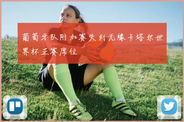葡萄牙队附加赛失利无缘卡塔尔世界杯正赛席位